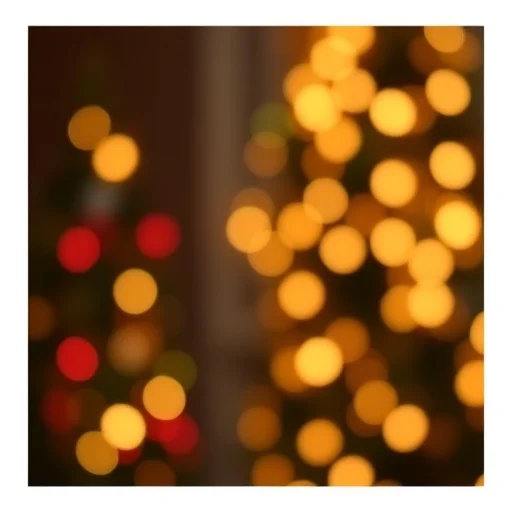 Christmas Lights Background Portrait